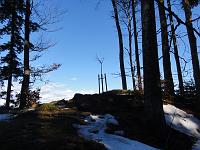  8. Januar 2011 - nach einem heftigen Föhntag ist viel Schnee wegeschmolzen und die Sonne wärmt Samuels Ginkgo